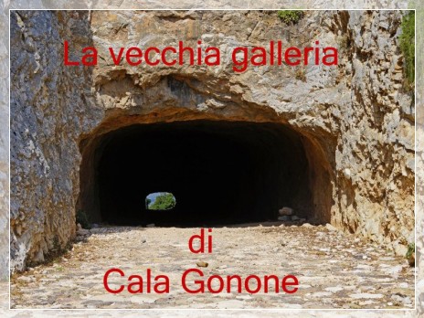 Vai al capitolo LA VECCHIA GALLERIA DI CALA GONONE   Go to section LA VECCHIA GALLERIA DI CALA GONONE