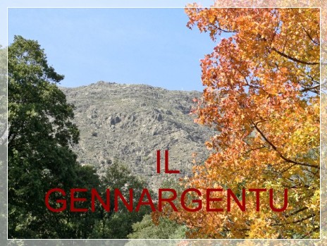 Vai al capitolo IL GENNARGENTU. Go to section IL GENNARGENTU
