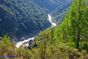 Il fiume Flumendosa