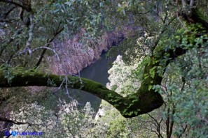 Il fiume Flumendosa