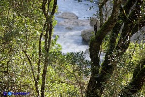 Il fiume Flumendosa