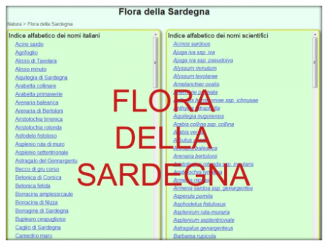 Vai al capitolo FLORA DELLA SARDEGNA  Go to section FLORA DELLA SARDEGNA