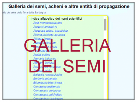 Vai al capitolo GALLERIA DEI SEMI  Go to section GALLERIA DEI SEMI