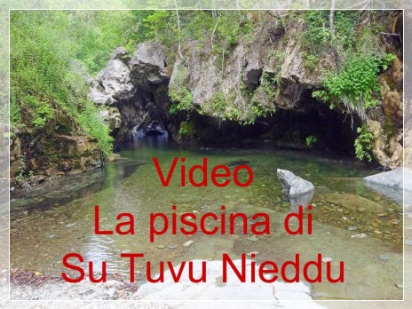 Vai al capitolo VIDEO LA PISCINA DI SU TUVU NIEDDU  Go to section VIDEO LA PISCINA DI SU TUVU NIEDDU