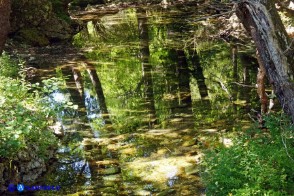 Riflessi sul Rio Sa Taula a valle della piscina di Su Tuvu Nieddu