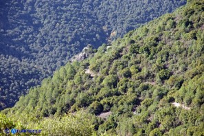 Strada per Sa Stiddiosa