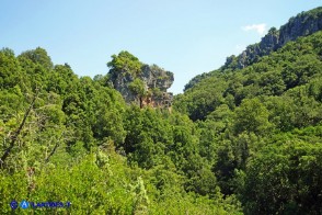 Dettaglio della vallata