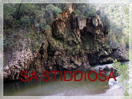 Vai al capitolo SA STIDDIOSA  Go to section SA STIDDIOSA