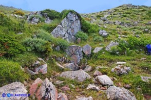 Gennargentu: sorgente Sa Nuxi Torta quota 1530 m s.l.m.