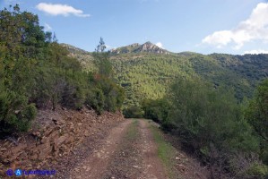 Strada per Sa Stiddiosa