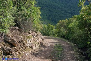 Strada per Sa Stiddiosa