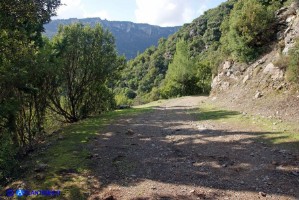 Strada per Sa Stiddiosa