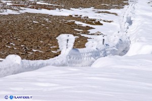 Il Bruncu Spina in inverno