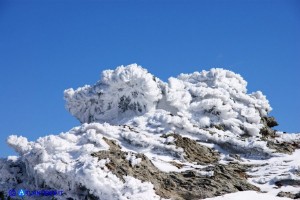 Il Bruncu Spina in inverno