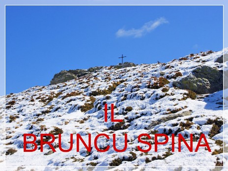 Vai al capitolo IL BRUNCU SPINA. Go to section IL BRUNCU SPINA