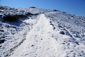 Il Bruncu Spina all'inizio della primavera