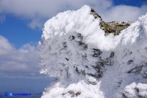 Il Bruncu Spina in inverno