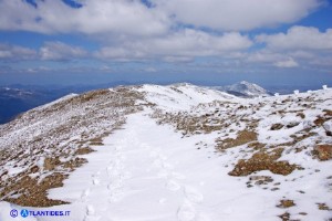 Il Bruncu Spina in inverno