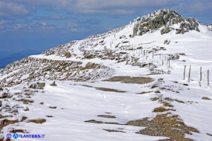 Il Bruncu Spina in inverno