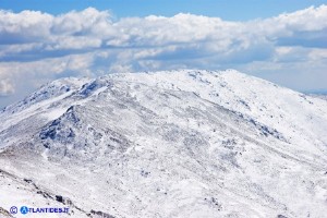 Il Gennargentu in inverno