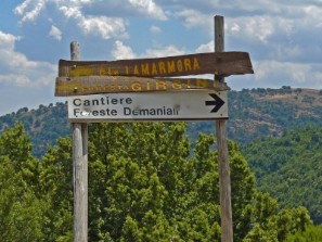Il bivio Punta La Marmora/Foresta Girgini