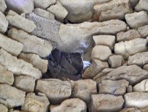 Nuraghe Is Paras (Isili): Finestra di accesso al piano superiore