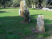 Pranu Mutteddu: Piccolo allineamento di menhir