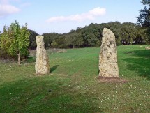 Pranu Mutteddu: Coppia di menhir