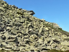 Il versante orientale di Punta Su Sciùsciu