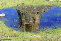 Immagine riflessa di Perda Liana