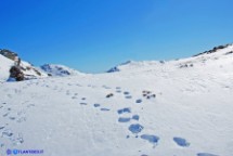 Immagine invernale dei monti del Gennargentu