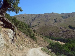 Un tratto della carrareccia Guddetorgiu/Mennula Cara 