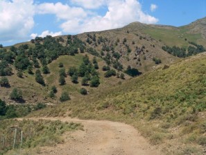 Un tratto della carrareccia Guddetorgiu/Mennula Cara