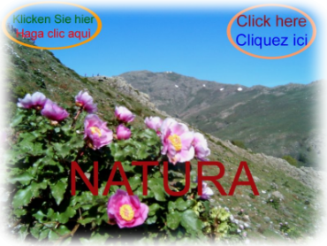 Vai alla sezione NATURA. Go to section NATURA