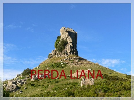 Vai al capitolo PERDA LIANA. Go to section PERDA LIANA