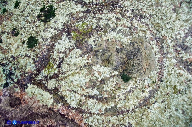 Incisione della stele di Ilbono